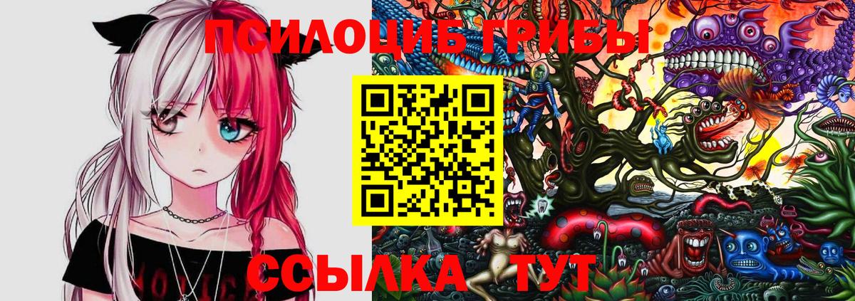 Ленинск-Кузнецкий  Псилоцибиновые грибы мухоморы  Псилоцибиновые грибы Magic Shrooms  Вход с VPN 