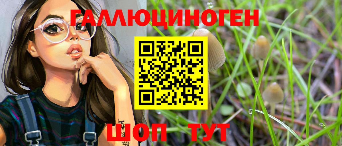 Псилоцибиновые грибы Psilocybine cubensis Ленинск-Кузнецкий