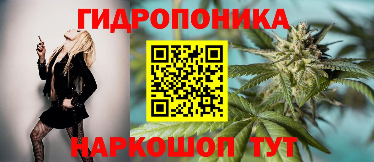 Шишки марихуана планчик  Шишки марихуана сатива  Шишки марихуана OG Kush  Канабис THC 21%  Вход с VPN  Ленинск-Кузнецкий 